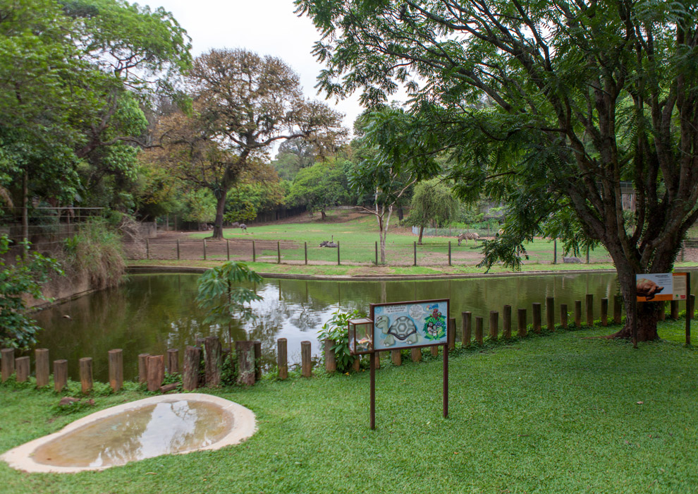 Making Off – Jardim Zoologico – Circuito Rios e Ruas
