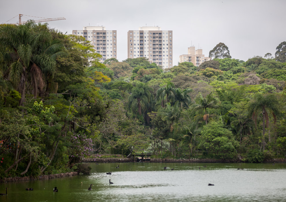 Making Off – Jardim Zoologico – Circuito Rios e Ruas